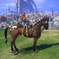 Azzura on her Horse - TERA